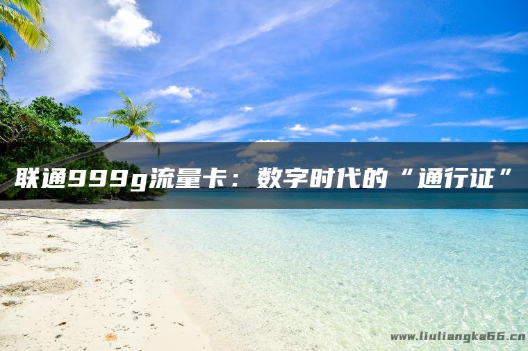 联通999g流量卡：数字时代的“通行证”