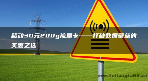 移动30元200g流量卡——打破数据壁垒的实惠之选