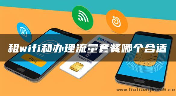 租wifi和办理流量套餐哪个合适